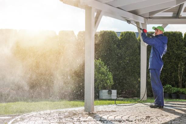 Best Driveway Cleaning and Restoration in Tobaccoville, NC